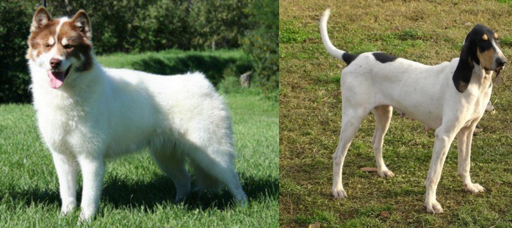 Petit Gascon Saintongeois vs Canadian Eskimo Dog - Breed Comparison