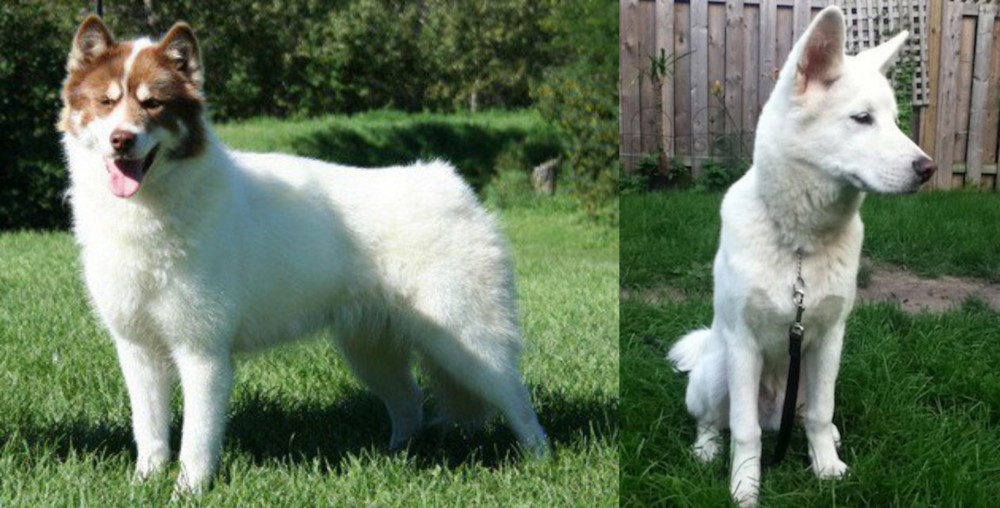 Phung San vs Canadian Eskimo Dog - Breed Comparison