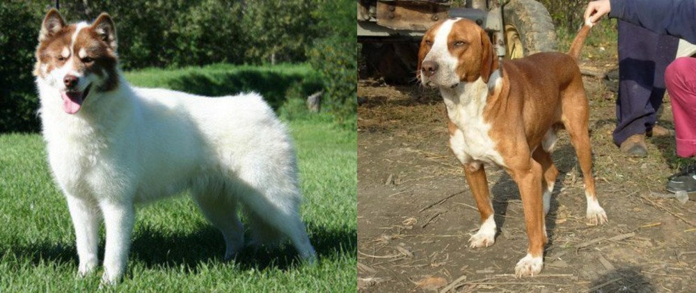 Posavac Hound vs Canadian Eskimo Dog - Breed Comparison