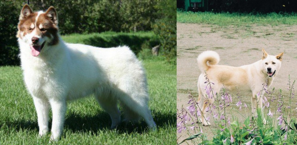 Pungsan Dog vs Canadian Eskimo Dog - Breed Comparison
