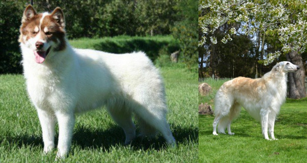 Russian Hound vs Canadian Eskimo Dog - Breed Comparison
