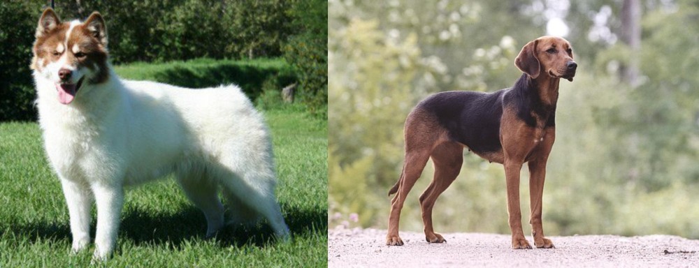 Schillerstovare vs Canadian Eskimo Dog - Breed Comparison