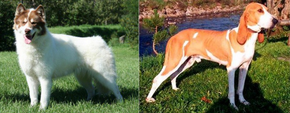 Schweizer Laufhund vs Canadian Eskimo Dog - Breed Comparison