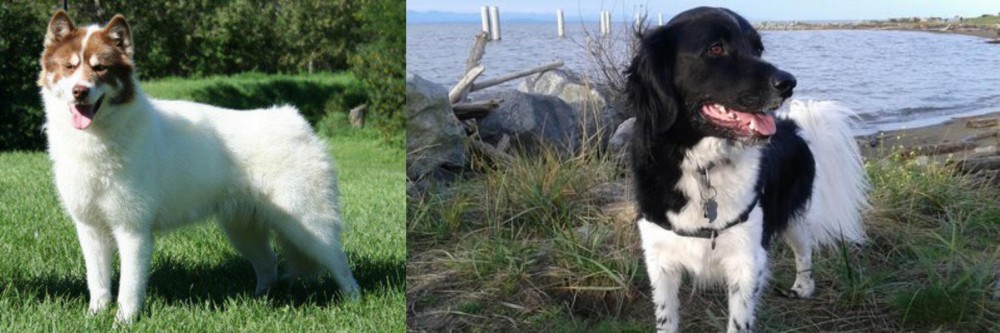Stabyhoun vs Canadian Eskimo Dog - Breed Comparison
