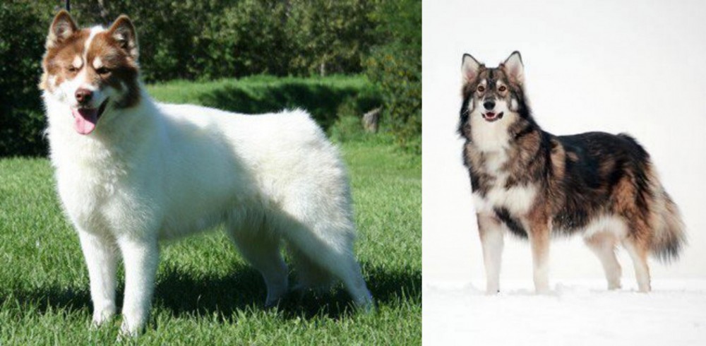 Utonagan vs Canadian Eskimo Dog - Breed Comparison