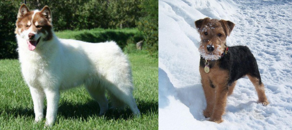 Welsh Terrier vs Canadian Eskimo Dog - Breed Comparison
