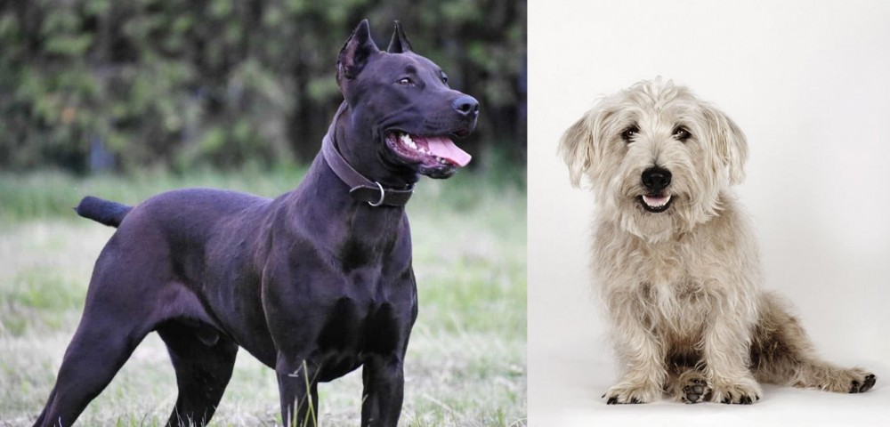 Glen of Imaal Terrier vs Canis Panther - Breed Comparison