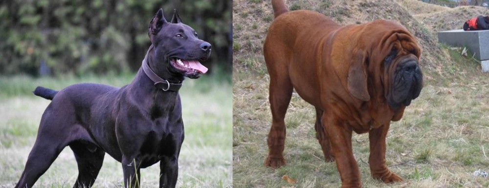 Korean Mastiff vs Canis Panther - Breed Comparison