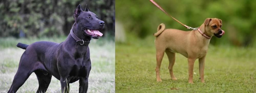 Muggin vs Canis Panther - Breed Comparison
