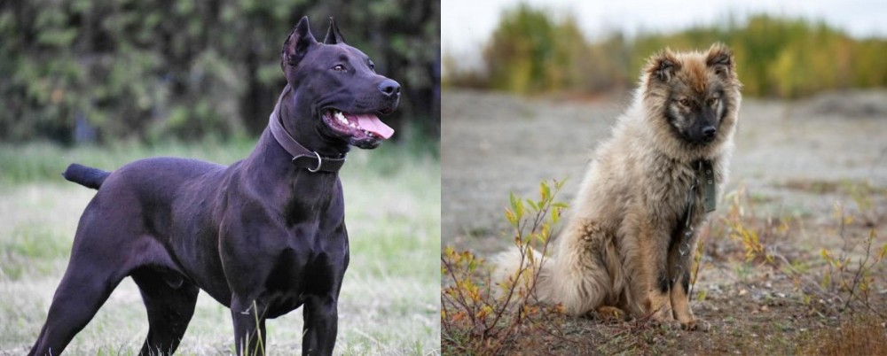 Nenets Herding Laika vs Canis Panther - Breed Comparison