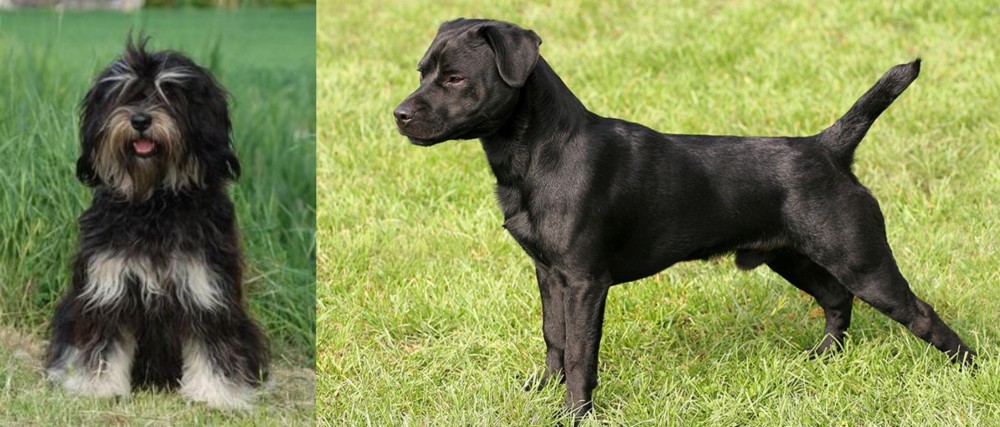 Patterdale Terrier vs Cao da Serra de Aires - Breed Comparison