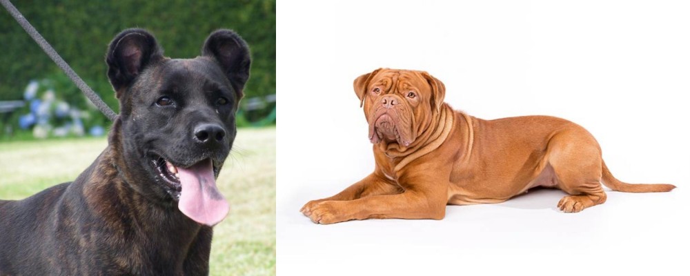 Dogue De Bordeaux vs Cao Fila de Sao Miguel - Breed Comparison