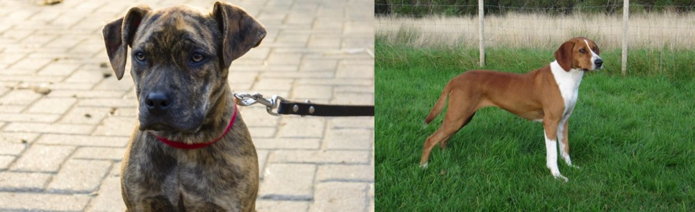 Hygenhund vs Catahoula Bulldog - Breed Comparison