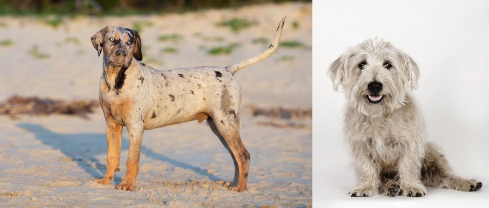 Glen of Imaal Terrier vs Catahoula Cur - Breed Comparison