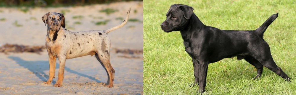 Patterdale Terrier vs Catahoula Cur - Breed Comparison