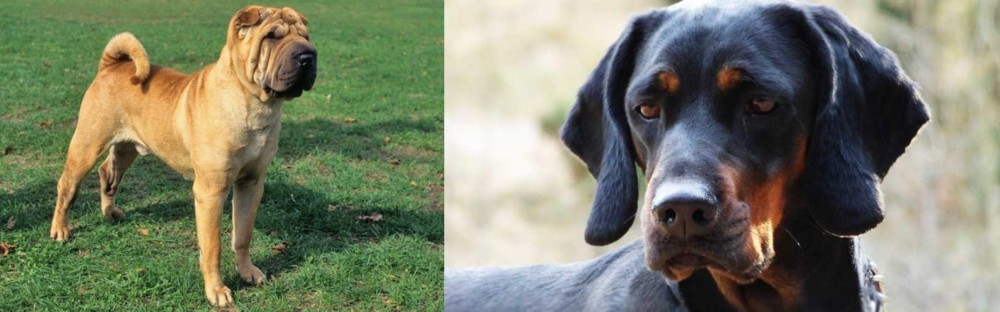 Polish Hunting Dog vs Chinese Shar Pei - Breed Comparison