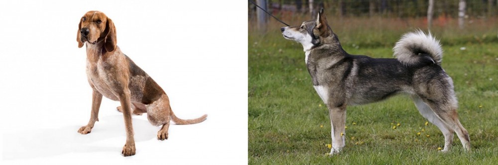 East Siberian Laika vs Coonhound - Breed Comparison