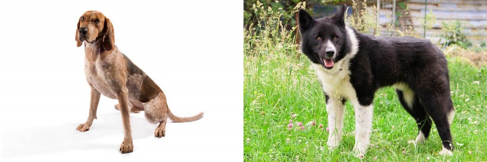 Karelian Bear Dog vs Coonhound - Breed Comparison