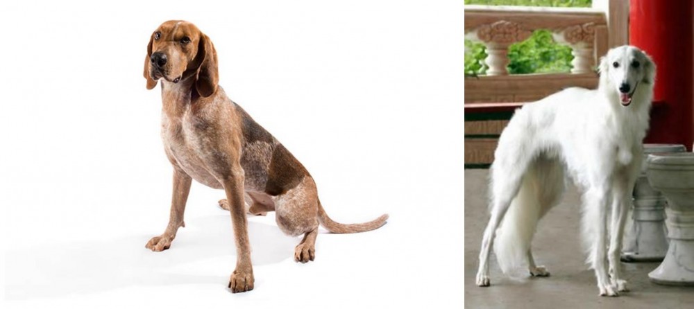 Silken Windhound vs Coonhound - Breed Comparison