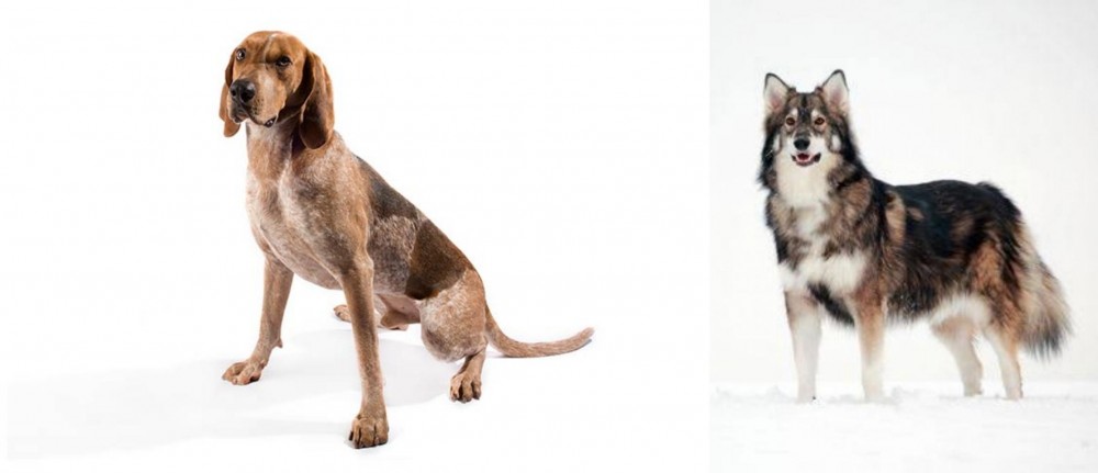 Utonagan vs Coonhound - Breed Comparison