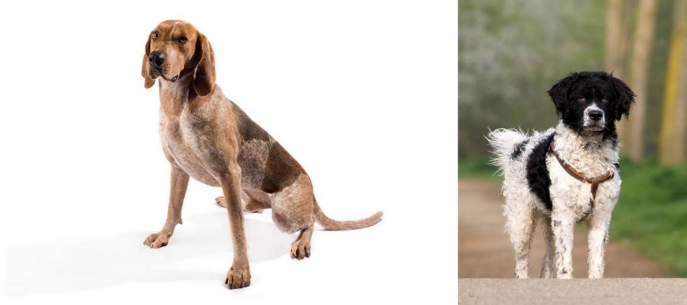 Wetterhoun vs Coonhound - Breed Comparison