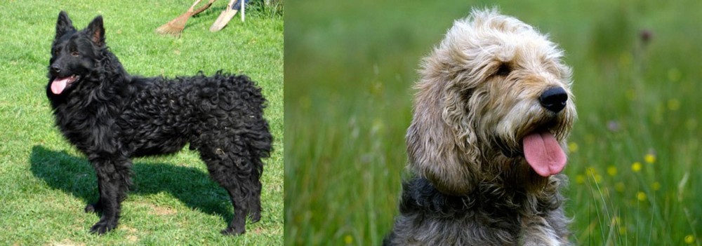Otterhound vs Croatian Sheepdog - Breed Comparison