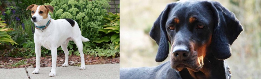 Polish Hunting Dog vs Danish Swedish Farmdog - Breed Comparison