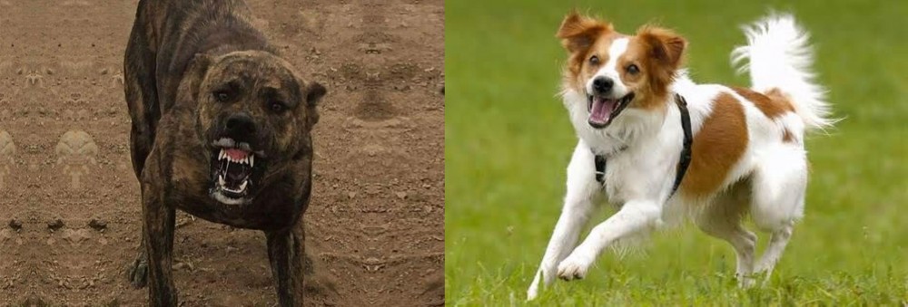 Kromfohrlander vs Dogo Sardesco - Breed Comparison