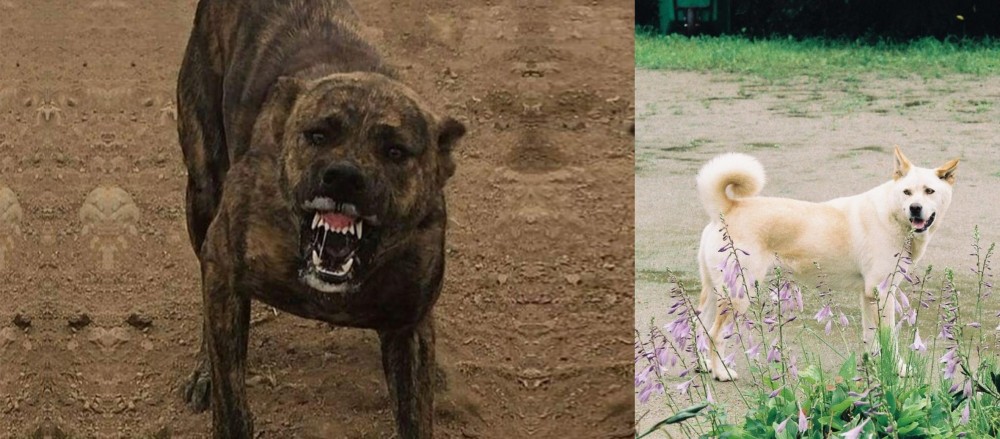 Pungsan Dog vs Dogo Sardesco - Breed Comparison