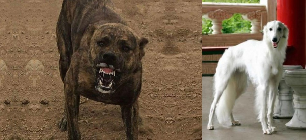 Silken Windhound vs Dogo Sardesco - Breed Comparison