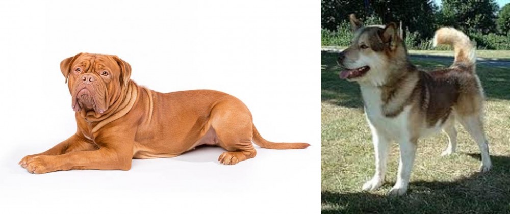 Greenland Dog vs Dogue De Bordeaux - Breed Comparison