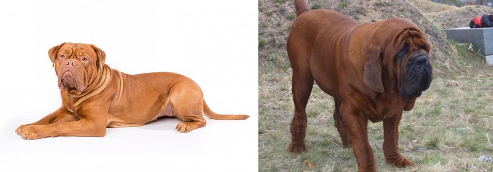 Korean Mastiff vs Dogue De Bordeaux - Breed Comparison