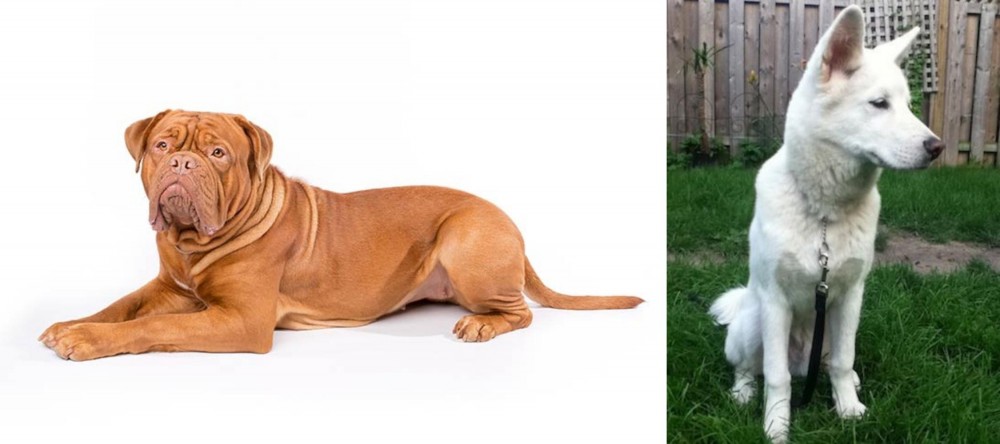 Phung San vs Dogue De Bordeaux - Breed Comparison