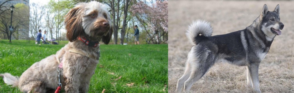Jamthund vs Doxiepoo - Breed Comparison