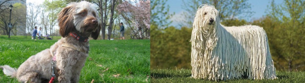 Komondor vs Doxiepoo - Breed Comparison