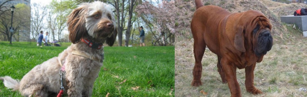 Korean Mastiff vs Doxiepoo - Breed Comparison