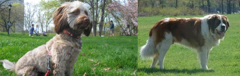 Moscow Watchdog vs Doxiepoo - Breed Comparison