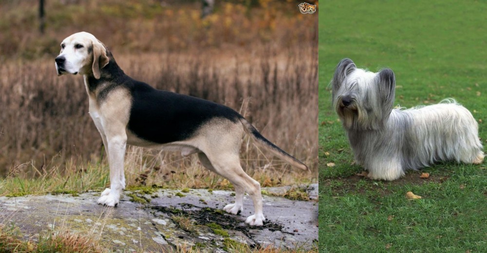 Skye Terrier vs Dunker - Breed Comparison