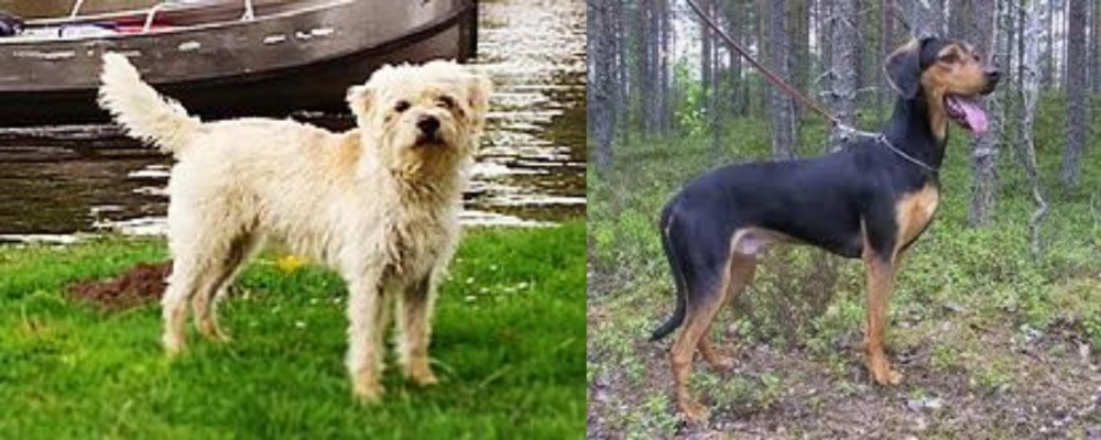 Greek Harehound vs Dutch Smoushond - Breed Comparison