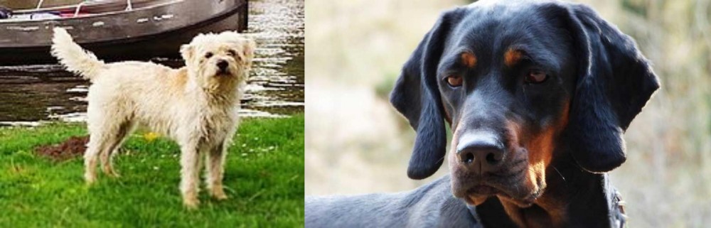 Polish Hunting Dog vs Dutch Smoushond - Breed Comparison