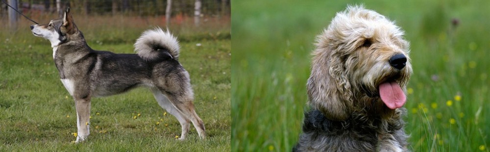 Otterhound vs East Siberian Laika - Breed Comparison