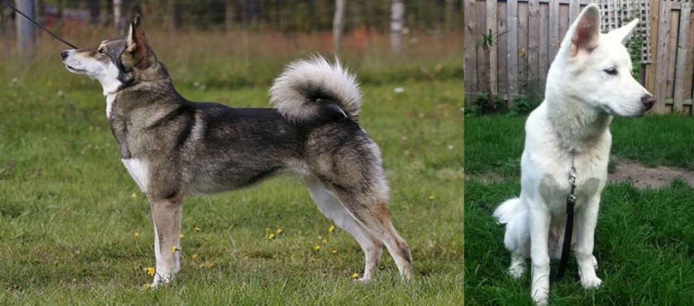 Phung San vs East Siberian Laika - Breed Comparison