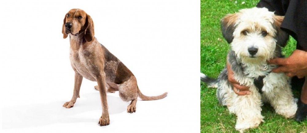 Yo-Chon vs English Coonhound - Breed Comparison