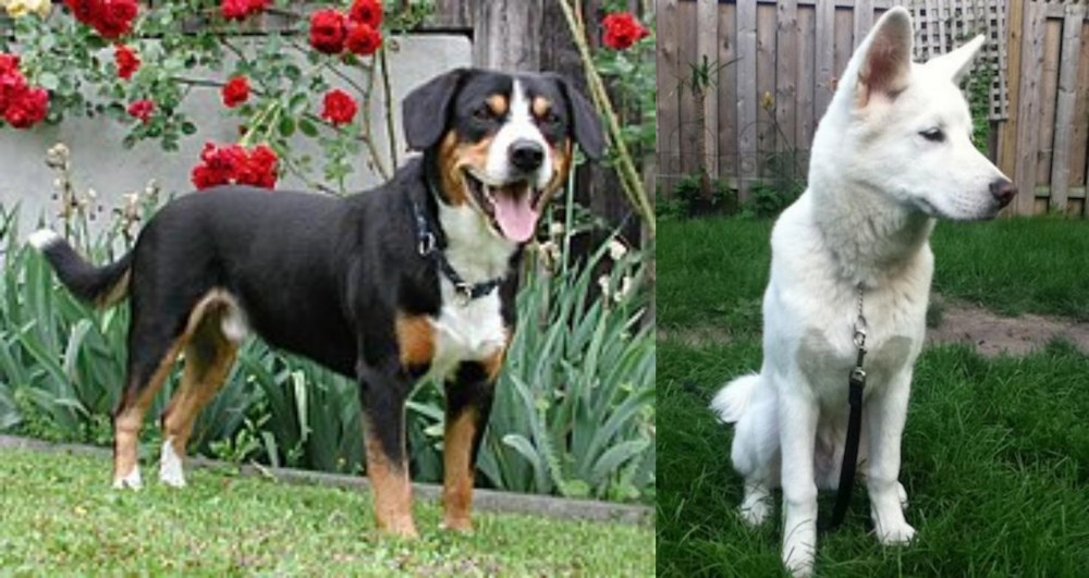 Phung San vs Entlebucher Mountain Dog - Breed Comparison