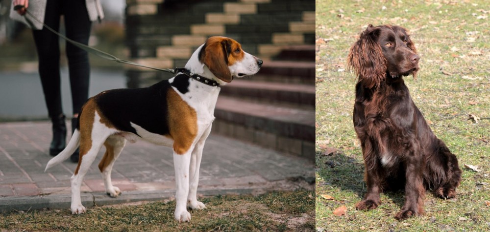 German Spaniel vs Estonian Hound - Breed Comparison