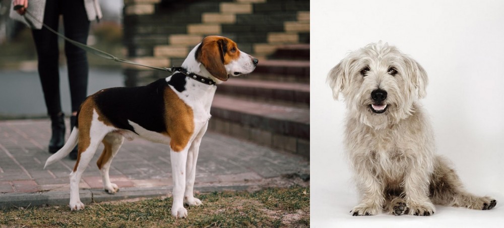 Glen of Imaal Terrier vs Estonian Hound - Breed Comparison