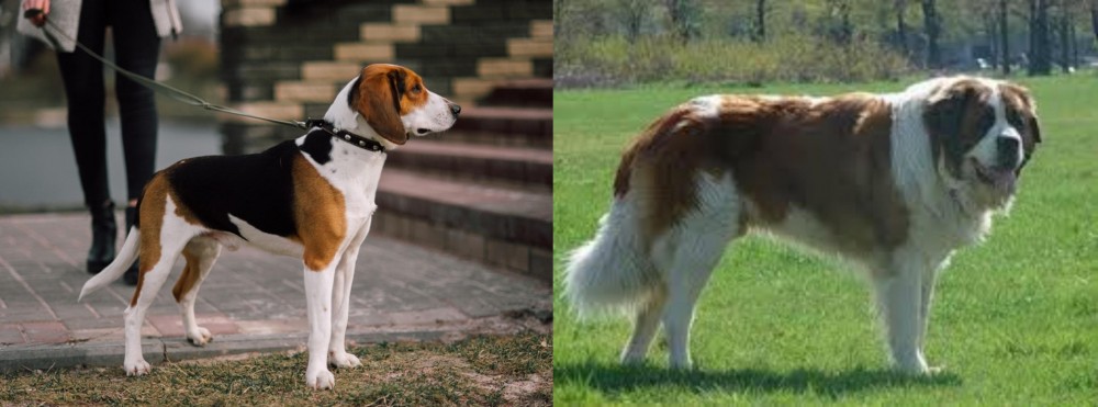 Moscow Watchdog vs Estonian Hound - Breed Comparison