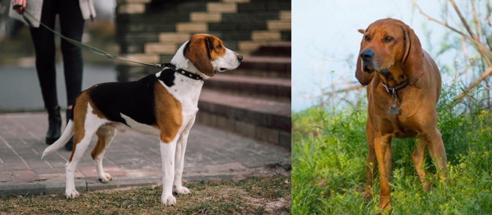 Redbone Coonhound vs Estonian Hound - Breed Comparison