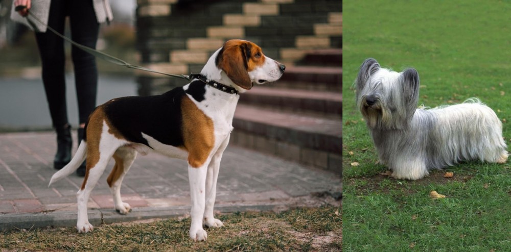 Skye Terrier vs Estonian Hound - Breed Comparison
