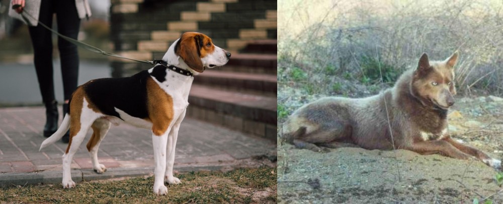 Tahltan Bear Dog vs Estonian Hound - Breed Comparison